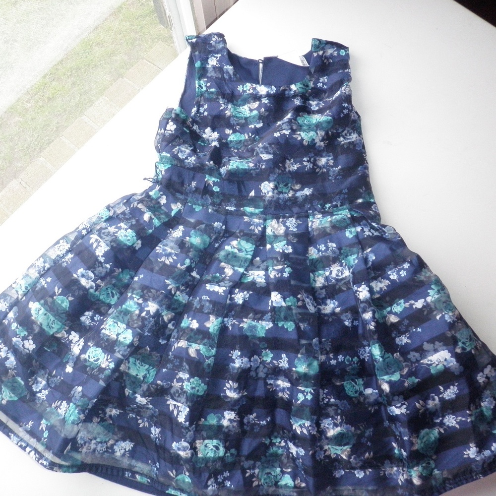 Blue Floral Dress